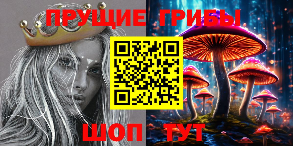 Галлюциногенные грибы Psilocybe Лысьва