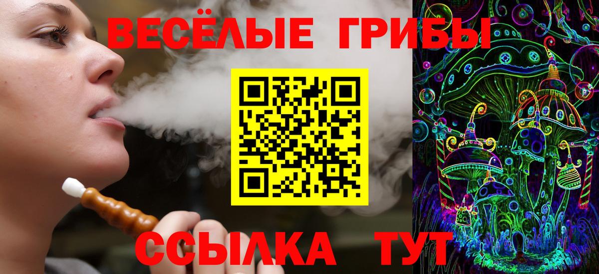 Лысьва  Псилоцибиновые грибы прущие грибы  Вход с VPN 